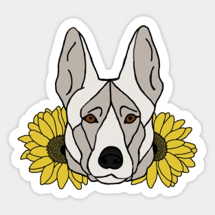 White Shepherd/Malinois with Sunflowers Sticker